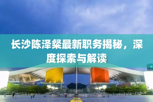 长沙陈泽粲最新职务揭秘，深度探索与解读