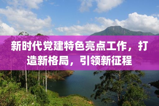 新时代党建特色亮点工作，打造新格局，引领新征程