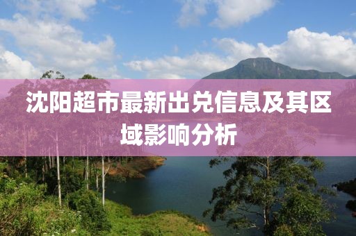沈阳超市最新出兑信息及其区域影响分析
