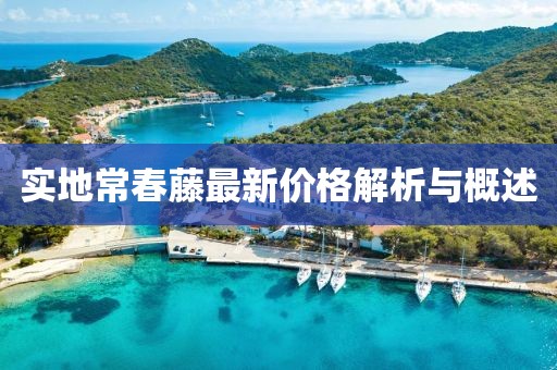 实地常春藤最新价格解析与概述