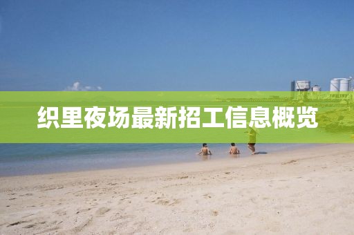织里夜场最新招工信息概览