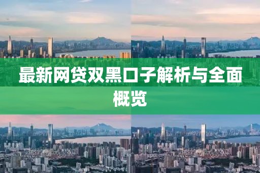 最新网贷双黑口子解析与全面概览