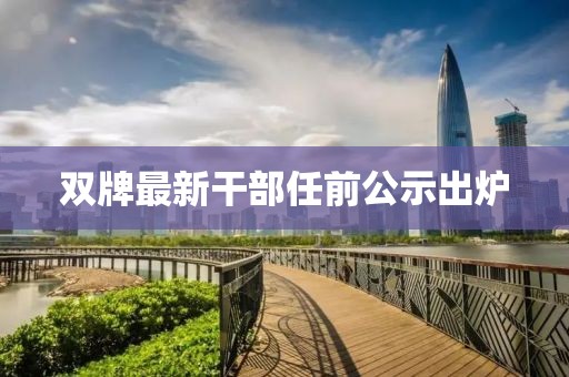 双牌最新干部任前公示出炉