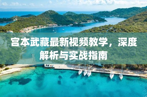 宫本武藏最新视频教学，深度解析与实战指南