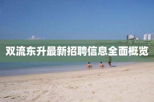 双流东升最新招聘信息全面概览