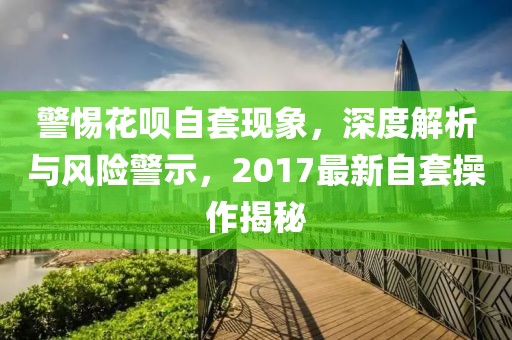 警惕花呗自套现象，深度解析与风险警示，2017最新自套操作揭秘