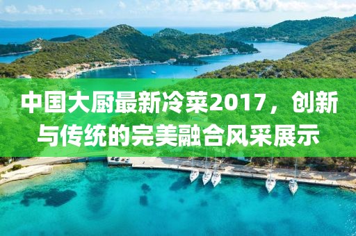 中国大厨最新冷菜2017，创新与传统的完美融合风采展示