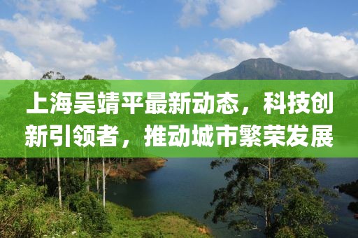 上海吴靖平最新动态，科技创新引领者，推动城市繁荣发展