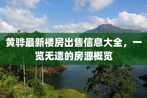 黄骅最新楼房出售信息大全，一览无遗的房源概览