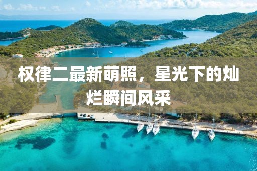 权律二最新萌照，星光下的灿烂瞬间风采