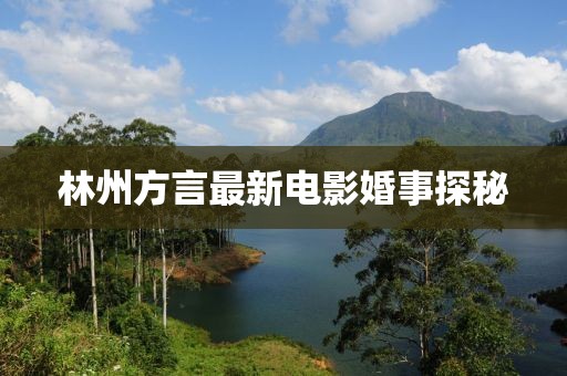 林州方言最新电影婚事探秘