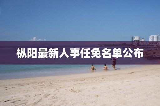 枞阳最新人事任免名单公布
