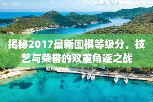 揭秘2017最新围棋等级分，技艺与荣誉的双重角逐之战