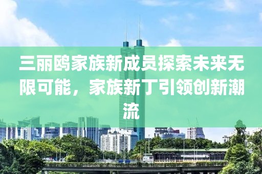三丽鸥家族新成员探索未来无限可能，家族新丁引领创新潮流