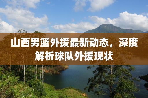 山西男篮外援最新动态，深度解析球队外援现状