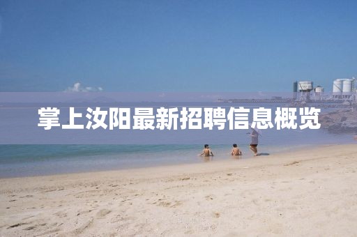 掌上汝阳最新招聘信息概览