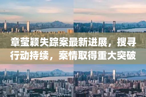 章莹颖失踪案最新进展，搜寻行动持续，案情取得重大突破