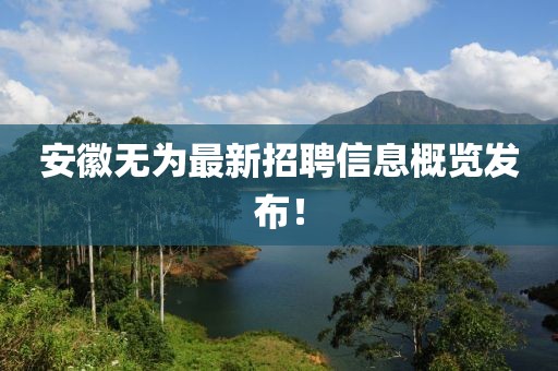 安徽无为最新招聘信息概览发布！