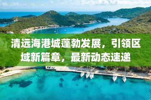 清远海港城蓬勃发展，引领区域新篇章，最新动态速递