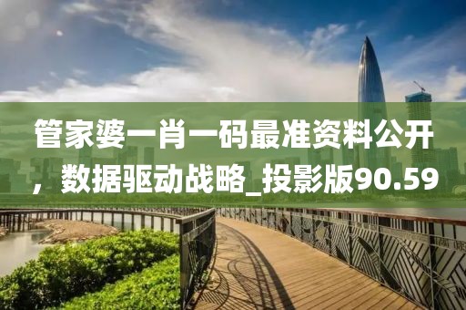 管家婆一肖一码最准资料公开，数据驱动战略_投影版90.59