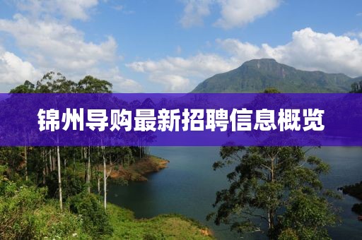 锦州导购最新招聘信息概览