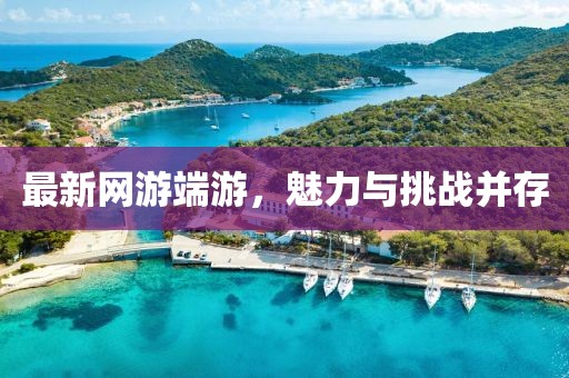 最新网游端游，魅力与挑战并存