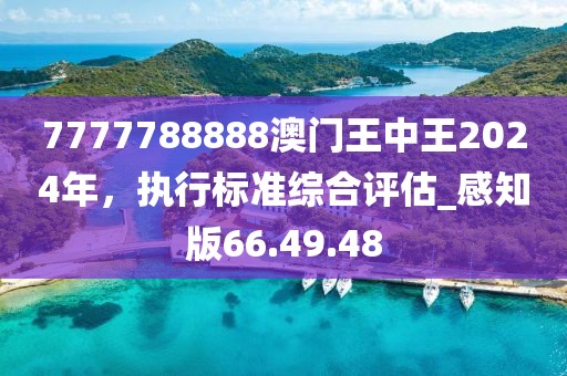 7777788888澳门王中王2024年，执行标准综合评估_感知版66.49.48