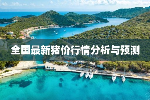 全国最新猪价行情分析与预测