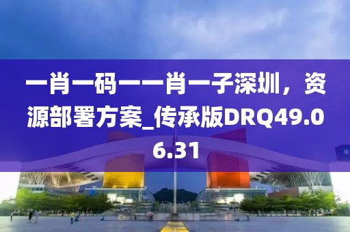 一肖一码一一肖一子深圳，资源部署方案_传承版DRQ49.06.31