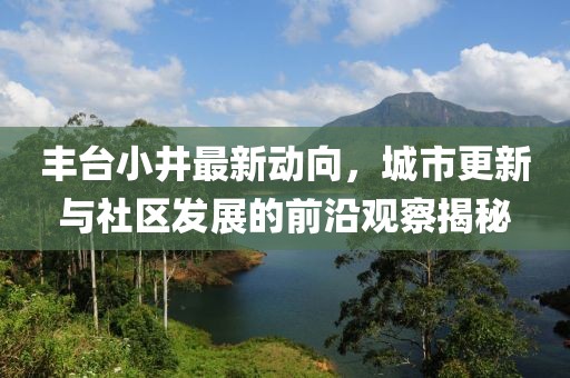 丰台小井最新动向，城市更新与社区发展的前沿观察揭秘