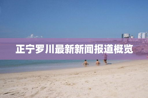 正宁罗川最新新闻报道概览