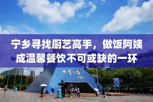雨碎江南 第19页