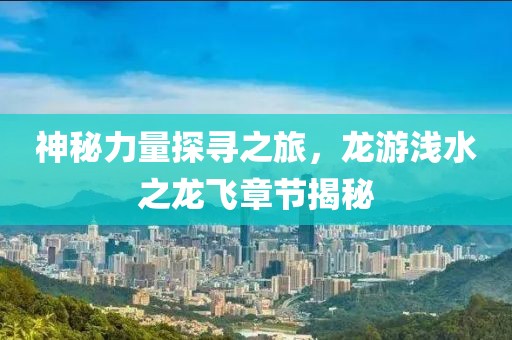 神秘力量探寻之旅，龙游浅水之龙飞章节揭秘