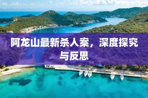 阿龙山最新杀人案，深度探究与反思
