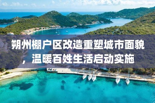 无言倾诉 第23页