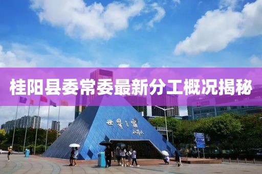 桂阳县委常委最新分工概况揭秘
