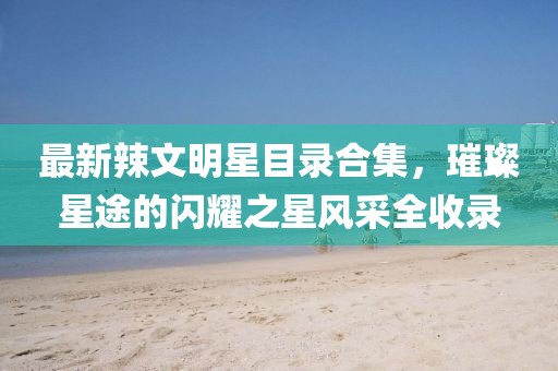 满船清梦压星河 第20页