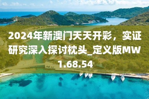2024年新澳门天天开彩，实证研究深入探讨枕头_定义版MW1.68.54
