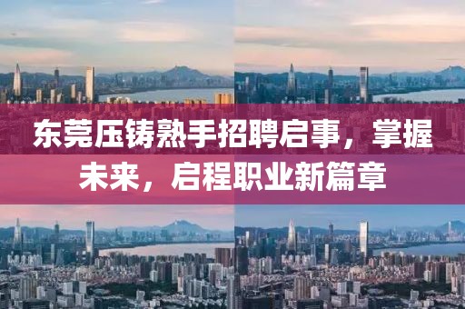 东莞压铸熟手招聘启事，掌握未来，启程职业新篇章