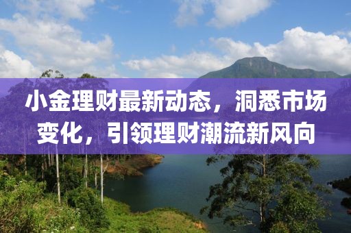 小金理财最新动态，洞悉市场变化，引领理财潮流新风向