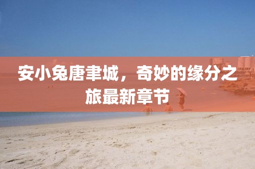 安小兔唐聿城，奇妙的缘分之旅最新章节