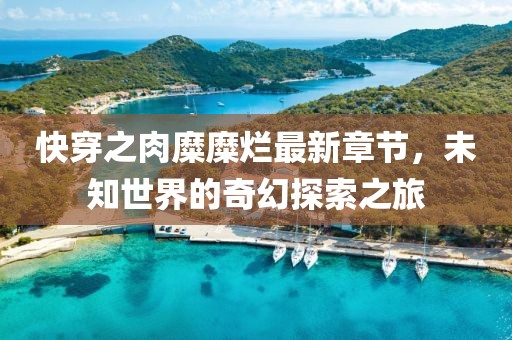 快穿之肉糜糜烂最新章节，未知世界的奇幻探索之旅