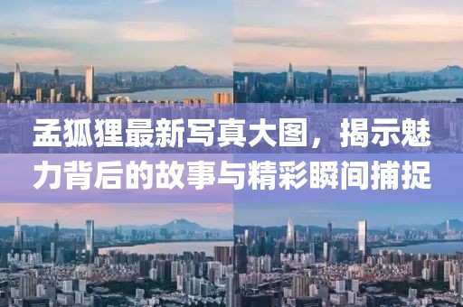 孟狐狸最新写真大图，揭示魅力背后的故事与精彩瞬间捕捉
