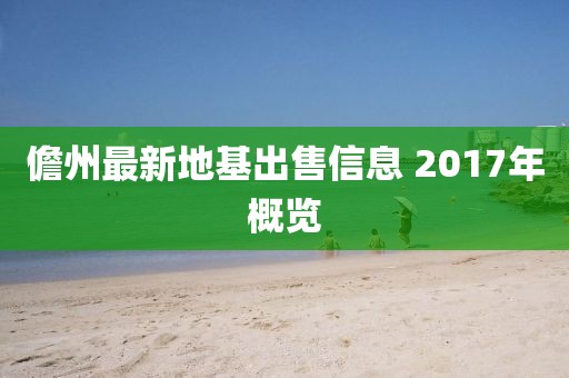 儋州最新地基出售信息 2017年概览