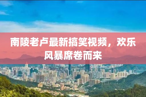 南陵老卢最新搞笑视频，欢乐风暴席卷而来