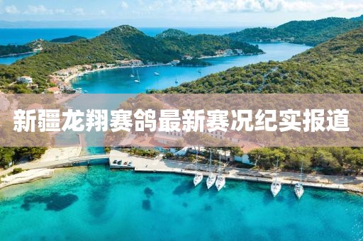 新疆龙翔赛鸽最新赛况纪实报道