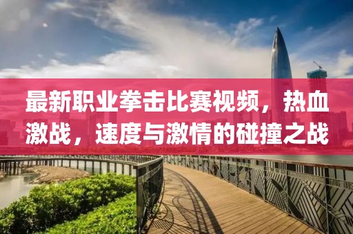最新职业拳击比赛视频，热血激战，速度与激情的碰撞之战