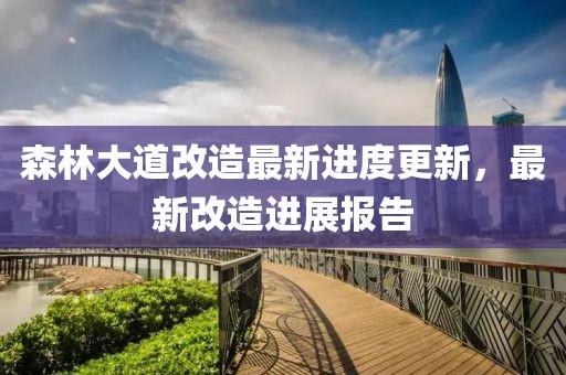 森林大道改造最新进度更新，最新改造进展报告