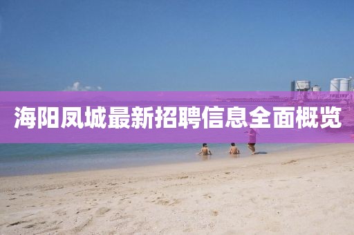 海阳凤城最新招聘信息全面概览