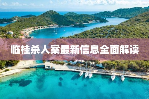 临桂杀人案最新信息全面解读